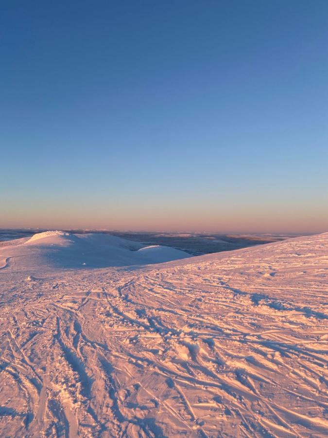 Nybyggd 8-Baeddars Skidstuga I Лофсдален Экстерьер фото