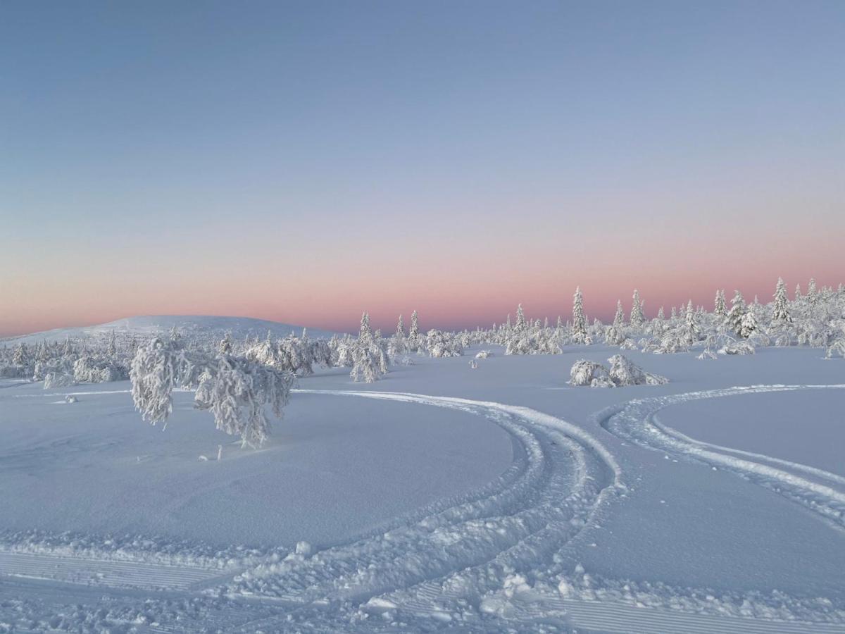 Nybyggd 8-Baeddars Skidstuga I Лофсдален Экстерьер фото