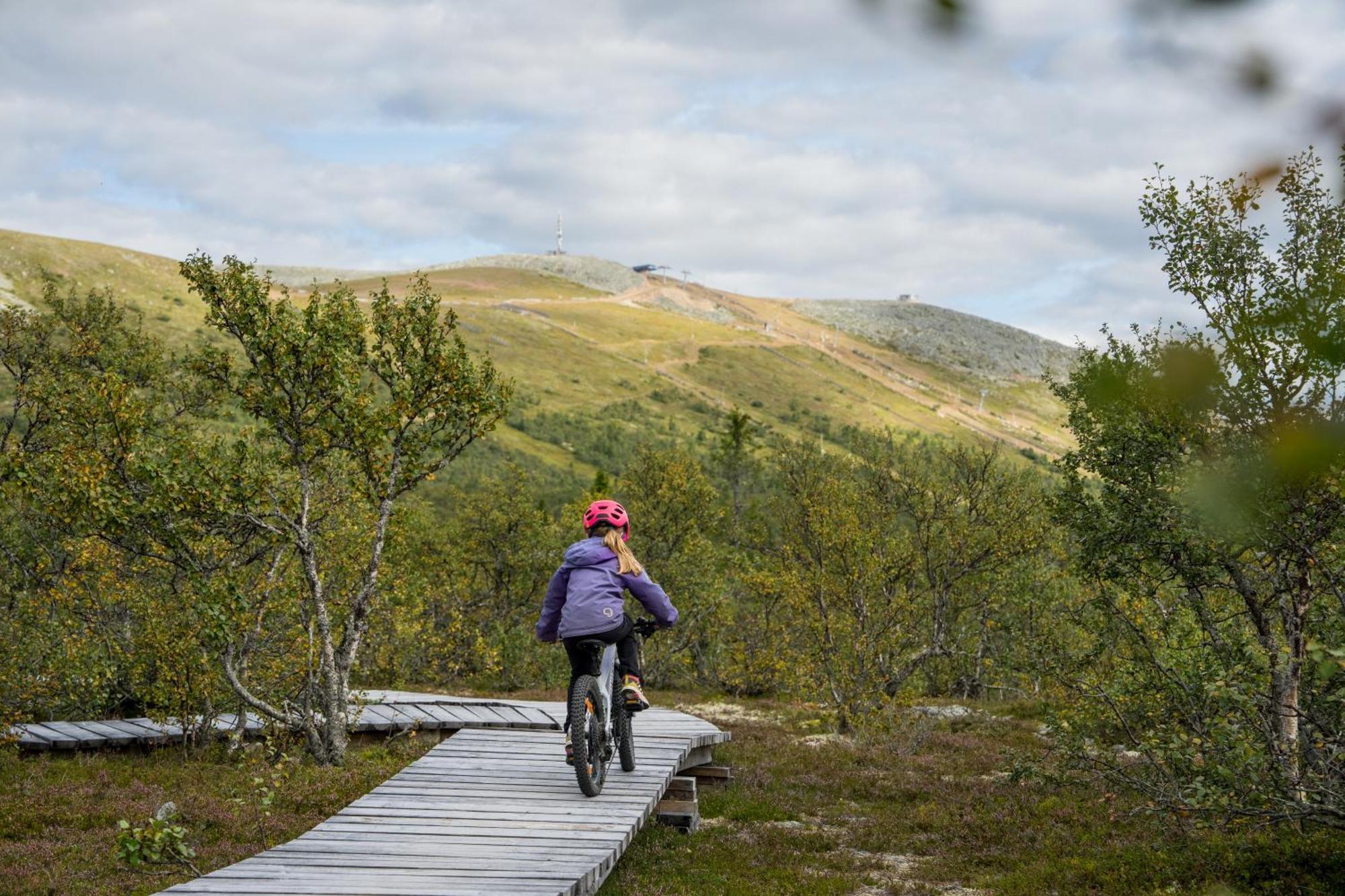 Nybyggd 8-Baeddars Skidstuga I Лофсдален Экстерьер фото